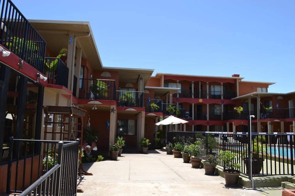 דייטונה ביץ' San Marina Motel Daytona מראה חיצוני תמונה